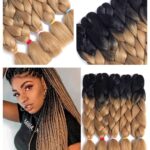 Blonde and black 24 Inch Ombre Jumbo Braid Box Braids Blonde and Black