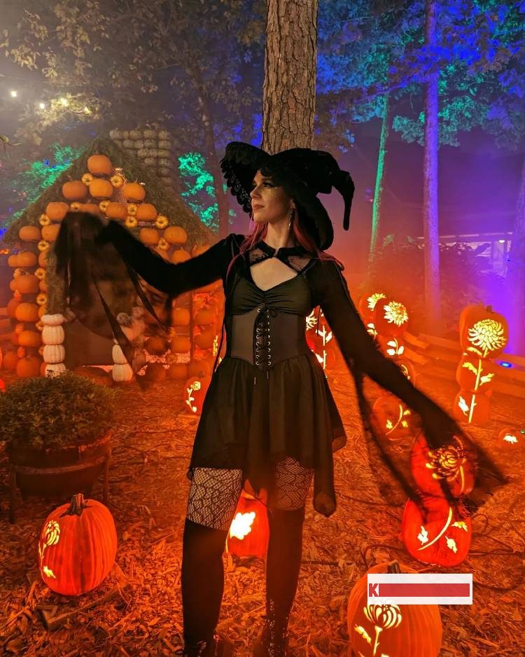 Best Witch Halloween Costume Ideas 13 Best Witch Halloween Costume Ideas